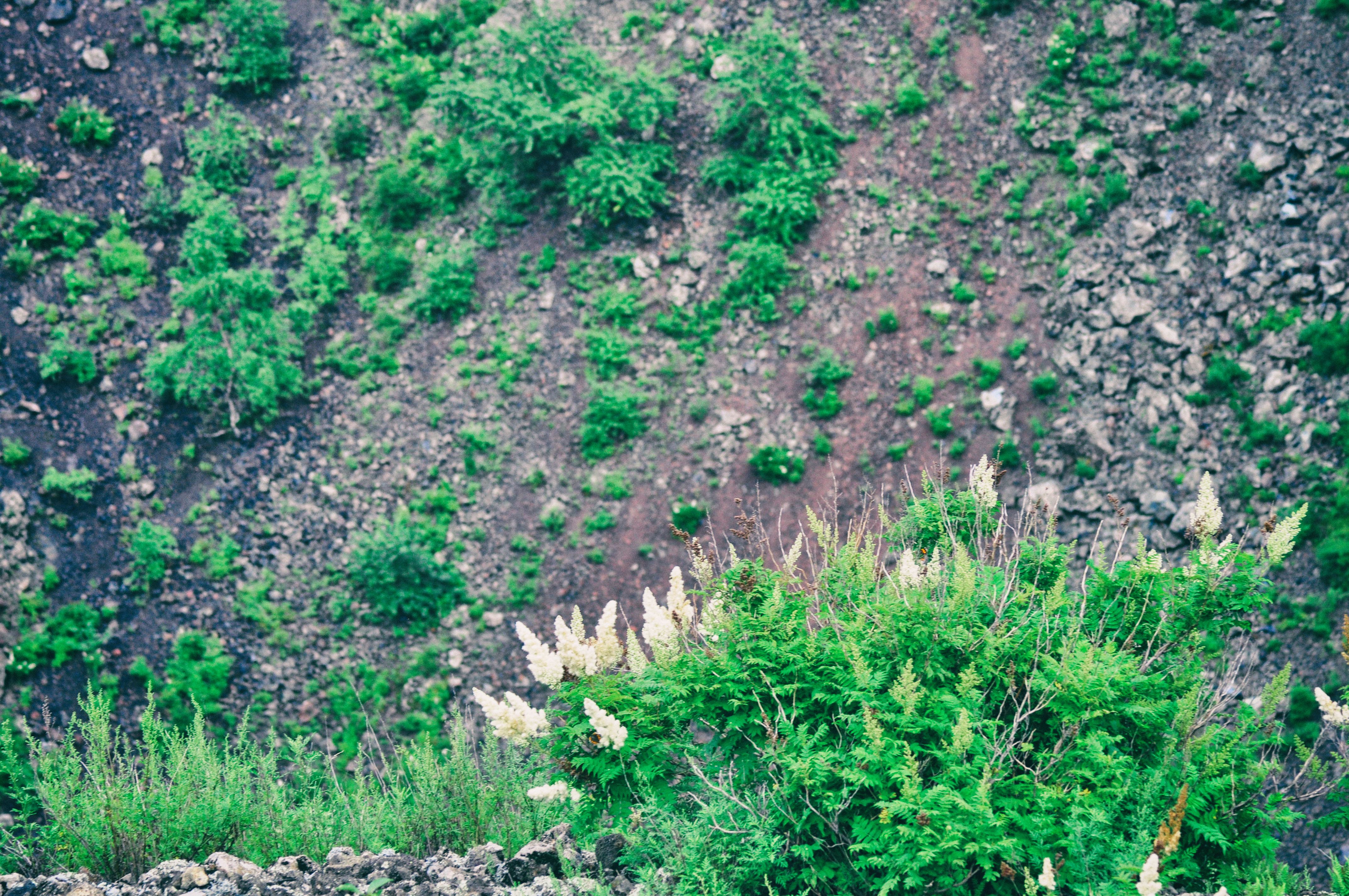 东北边疆,东北行游记2019