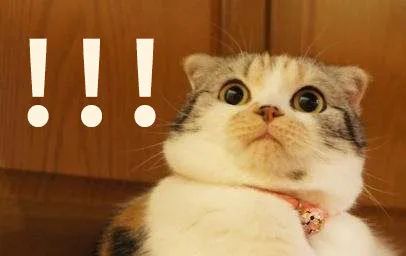 诈骗口罩40万判8年,口罩诈骗10万元判多久