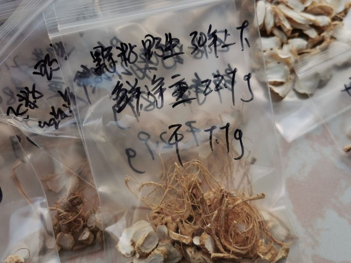 生晒参怎么烘干,生晒参怎样保管不生虫