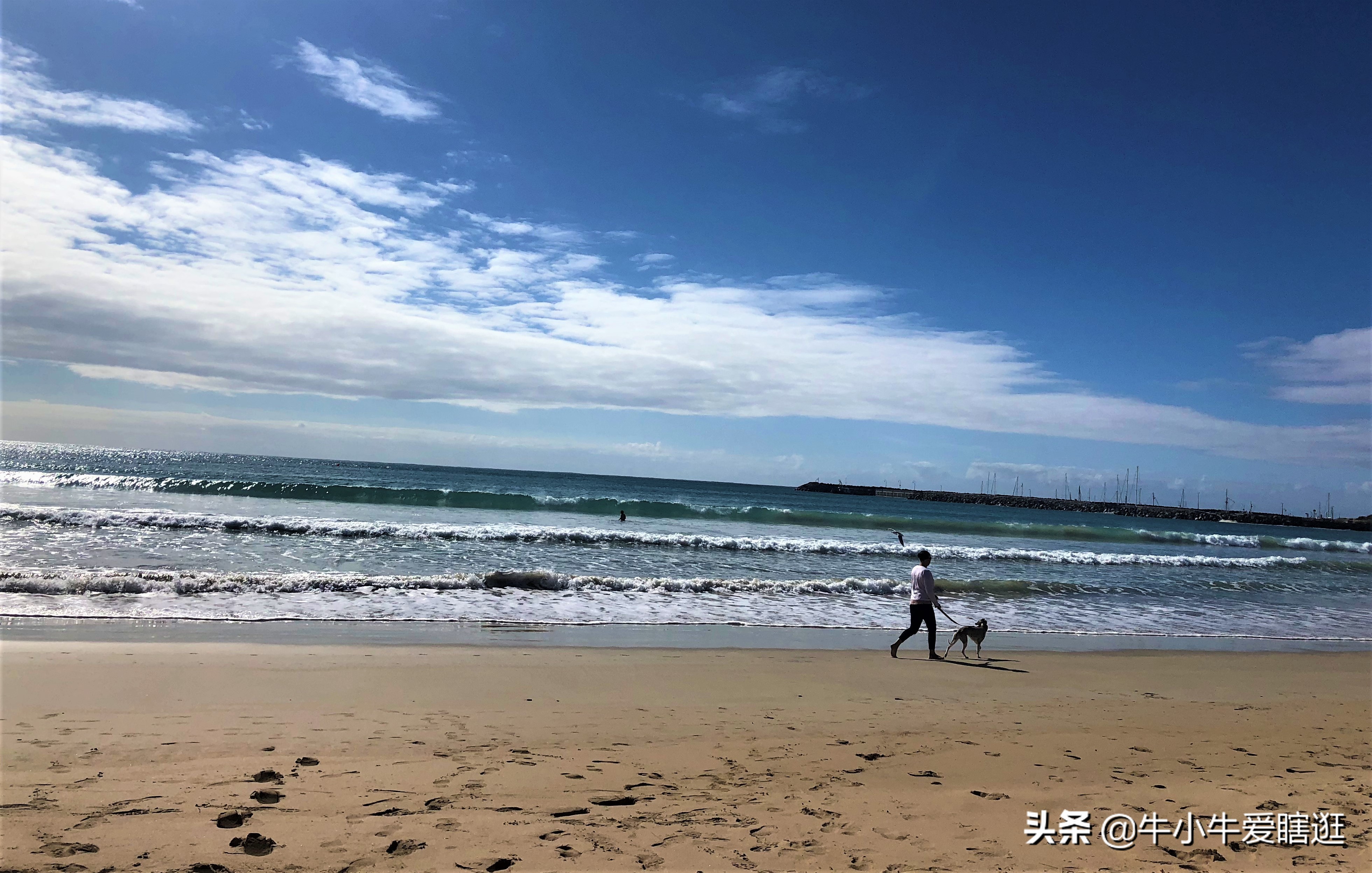 悉尼7日游自由行攻略,澳洲阿德莱德旅游攻略