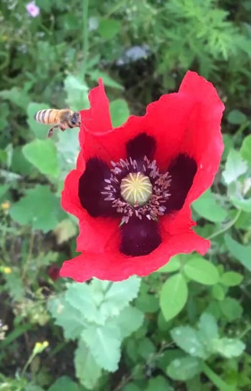 手拍世界,手拍世界近期作品