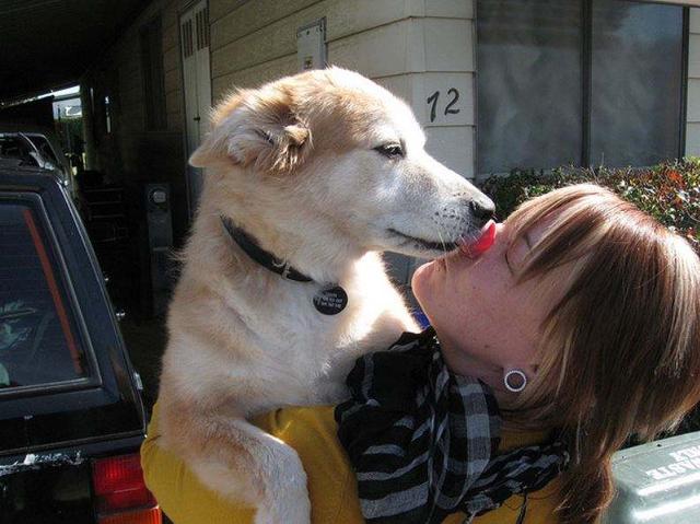 想亲狗狗它却要咬你,狗狗肠胃引起的口臭怎么办