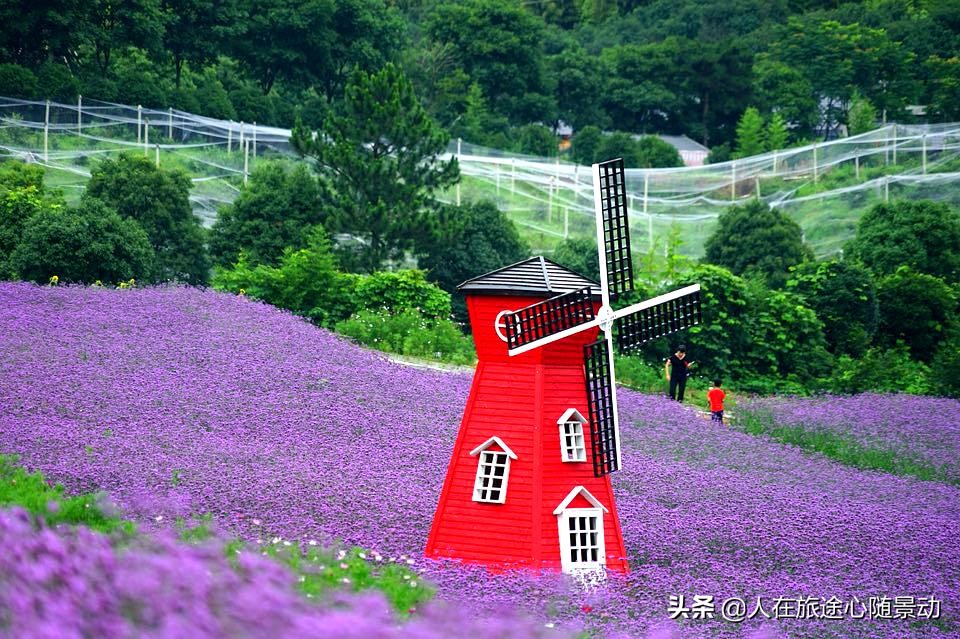 杭州余杭旅游景点大全排名榜,余杭区旅游景点