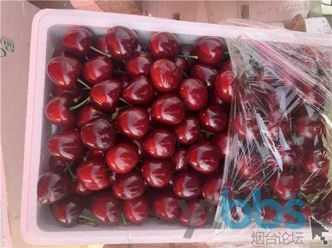 某平台出现“烟台樱桃*子骗**”,20元一斤,转账完就拉黑...