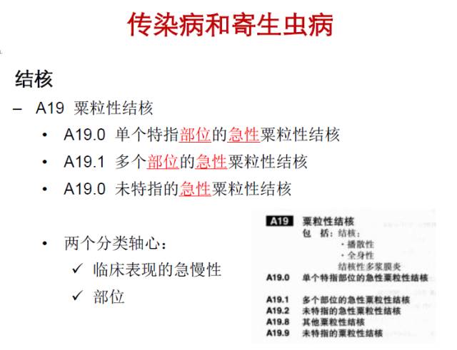 icd编码规则详解,一文读懂intp