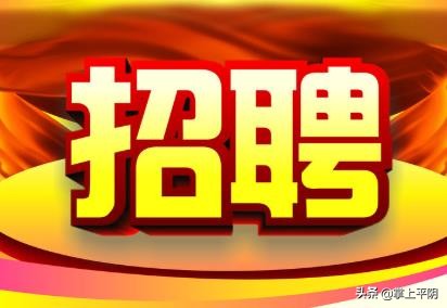 平阴岗位招聘,平阴公开招聘