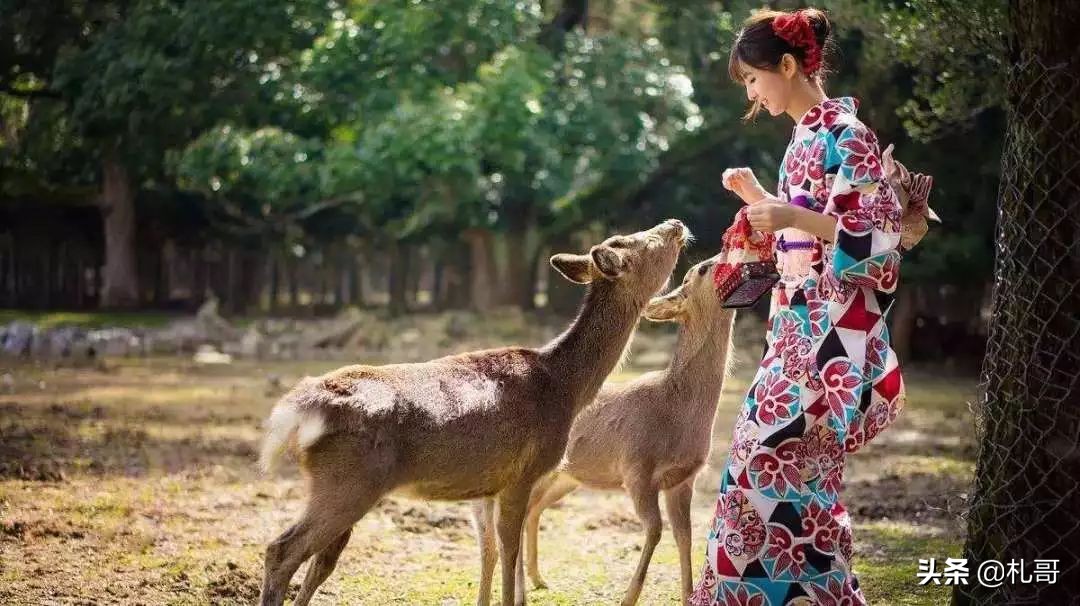 第一次去日本要去东京吗,第一次去日本要去北海道吗