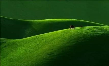 物体拍照摄影技巧,拍摄艺术物体技巧与角度视频