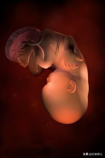 孕晚期胎动突然减少是什么原因,孕晚期肚子发紧发硬疼胎动减少