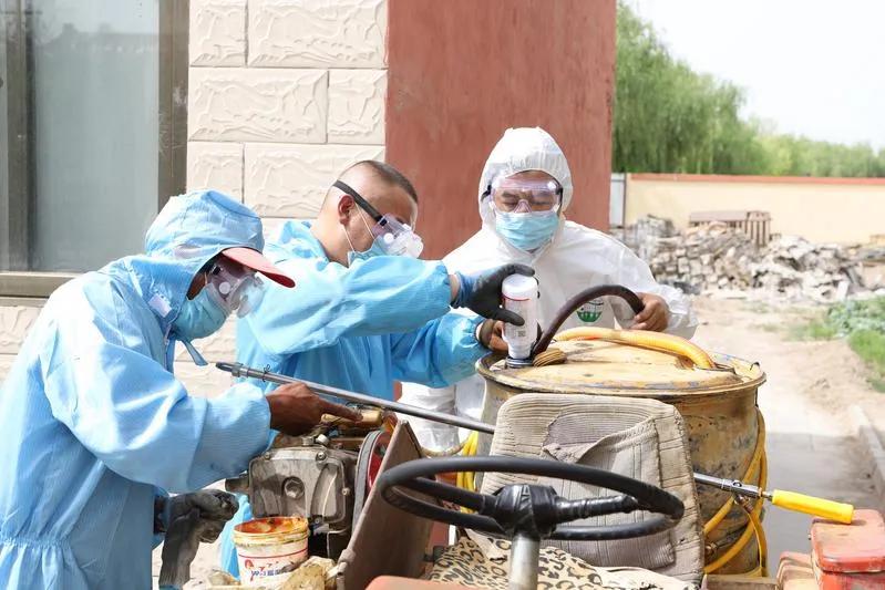 民勤全面开展光肩星天牛防治工作,开展天牛防治工作