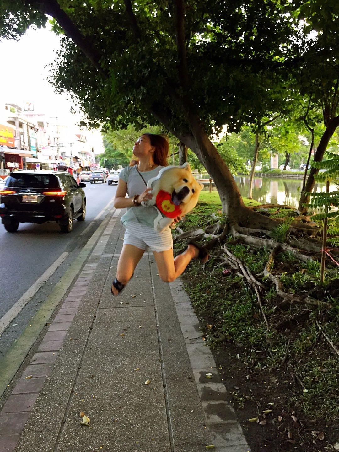 仰卧撑宠物达人专访：两代松狮“狗医生”的坚强铲屎官Erika