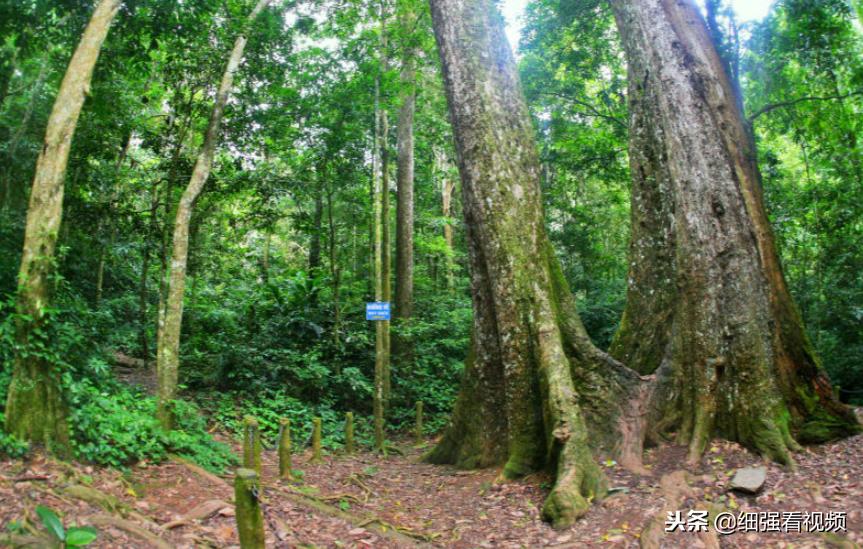 越南最美丽的地方 (越南风景最美的地方是)