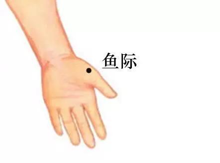 清肺润肺养肺最好方法小孩子,过敏鼻炎养肺润肺的最佳方法