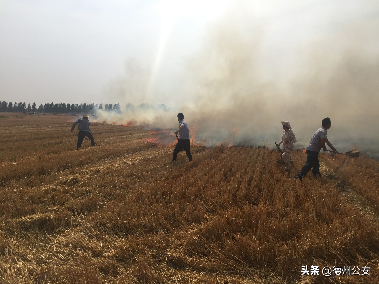 触目惊心！德州多地麦田发生火灾，收割机被烧成黑炭......
