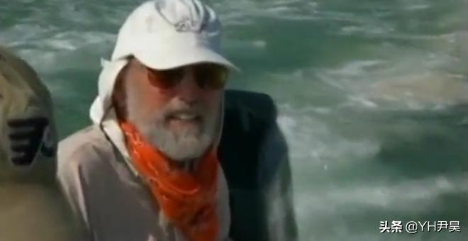 发生在美国的罕见事件，大白鲨遭遇神秘生物捕杀，真相颠覆认知