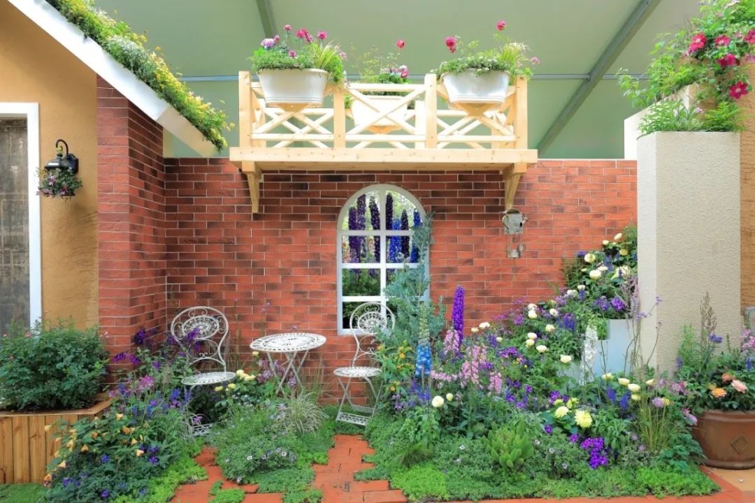 这个花展上的新优品种，为什么这么美？