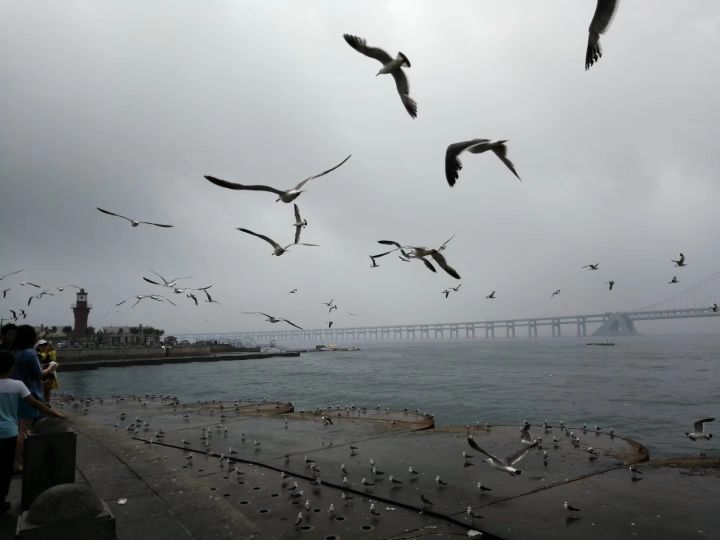 深圳市最长海滨栈道,中国最长海滨栈道