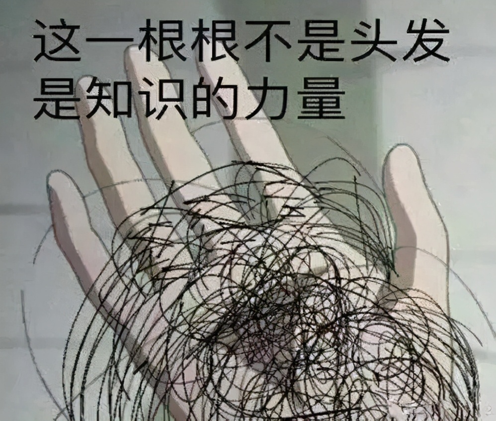 各专业脱发排行榜,学什么专业最容易脱发