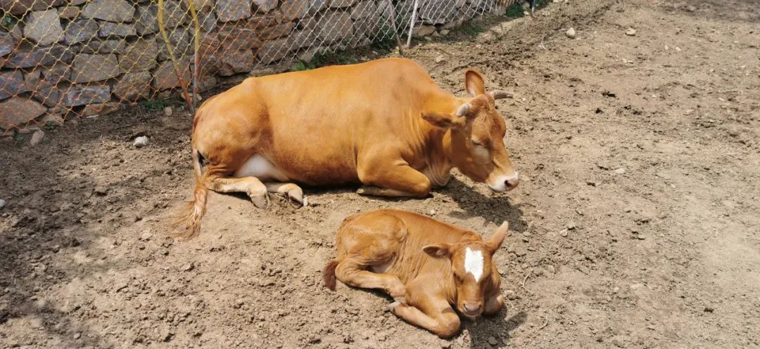 济南适合遛娃的免费去处,济南冬季遛娃免费攻略