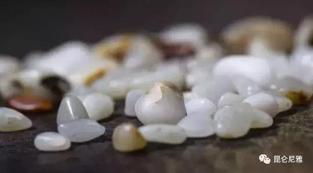 尼雅黑鸡是土鸡吗,尼雅黑鸡苗乌鲁木齐哪里售卖