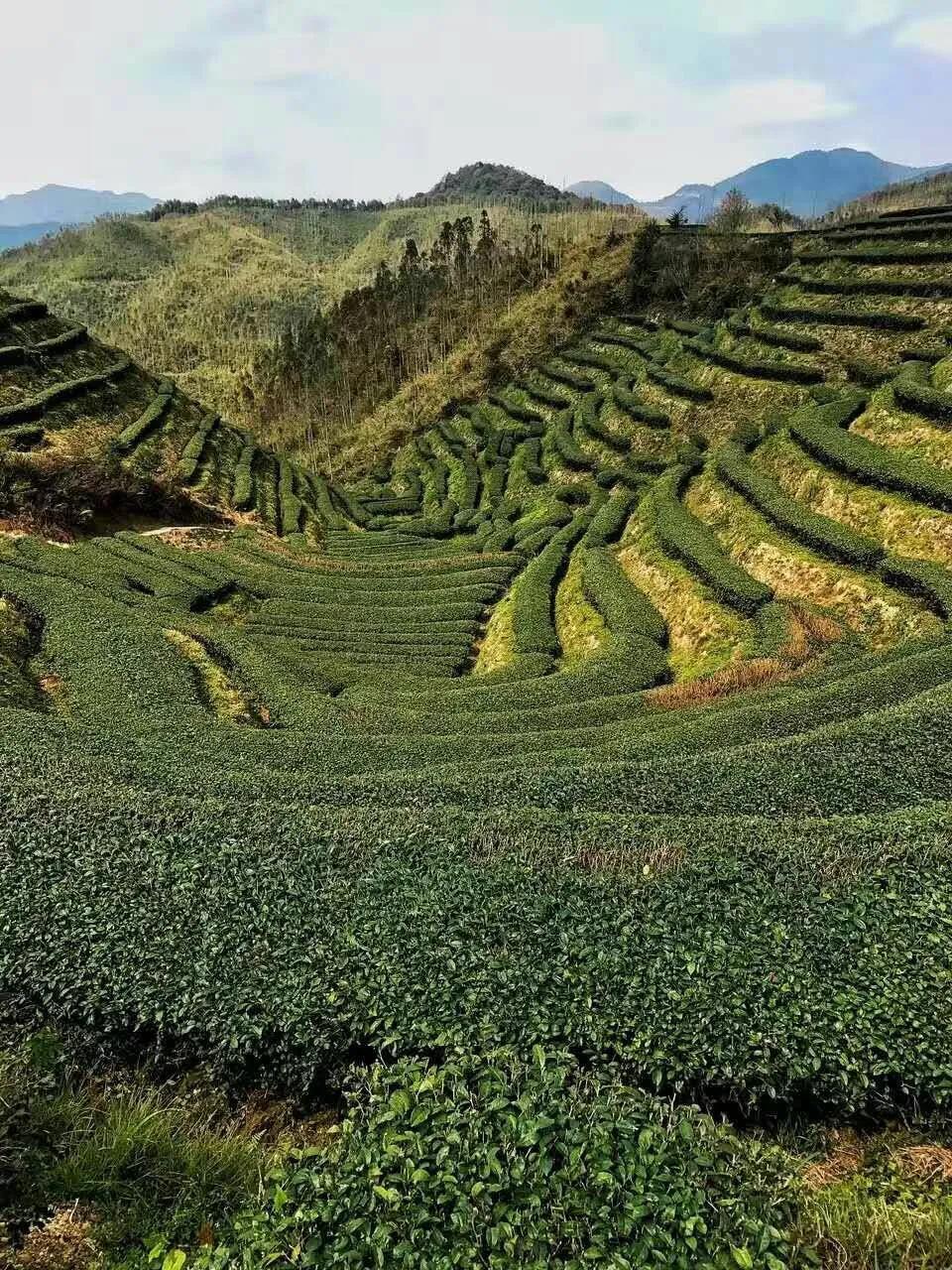 漳州平和县必玩的四大景点攻略,福建漳州平和县旅游景点推荐
