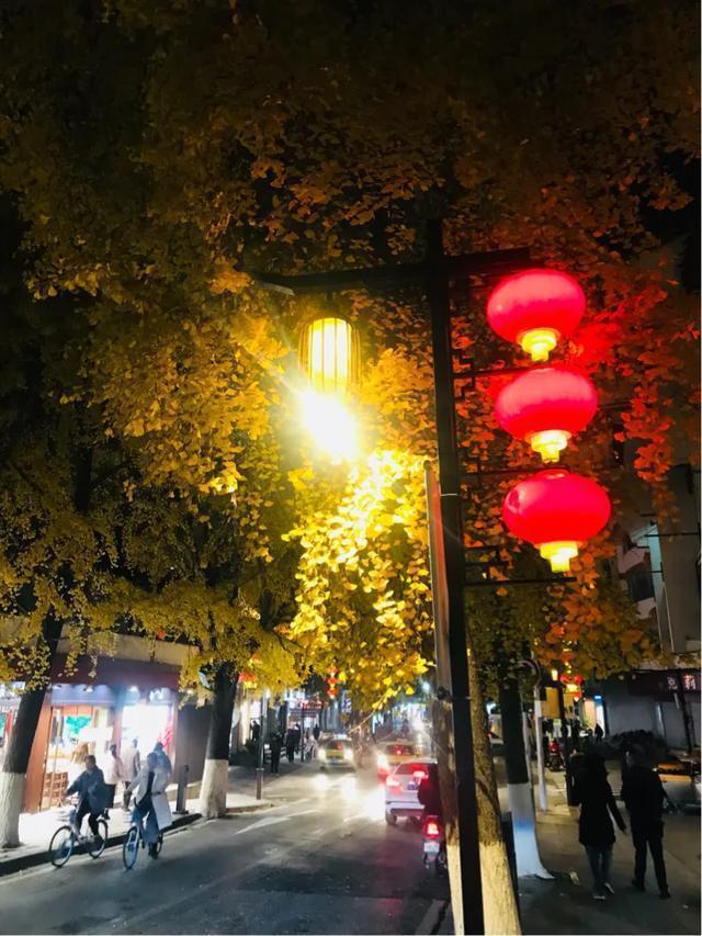 南京秋天旅行攻略,来南京体验秋天浪漫