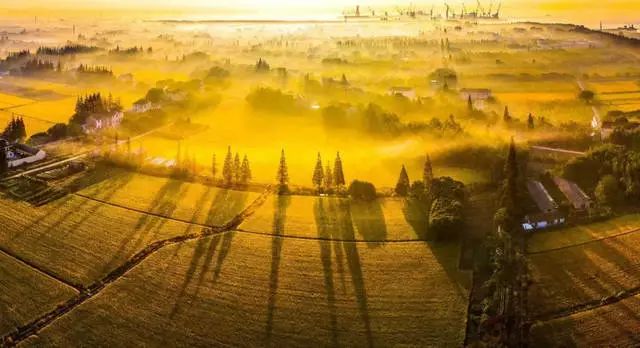 吵翻了！上海16个区终于正面PK！哪个是你心中的“扛把子”？