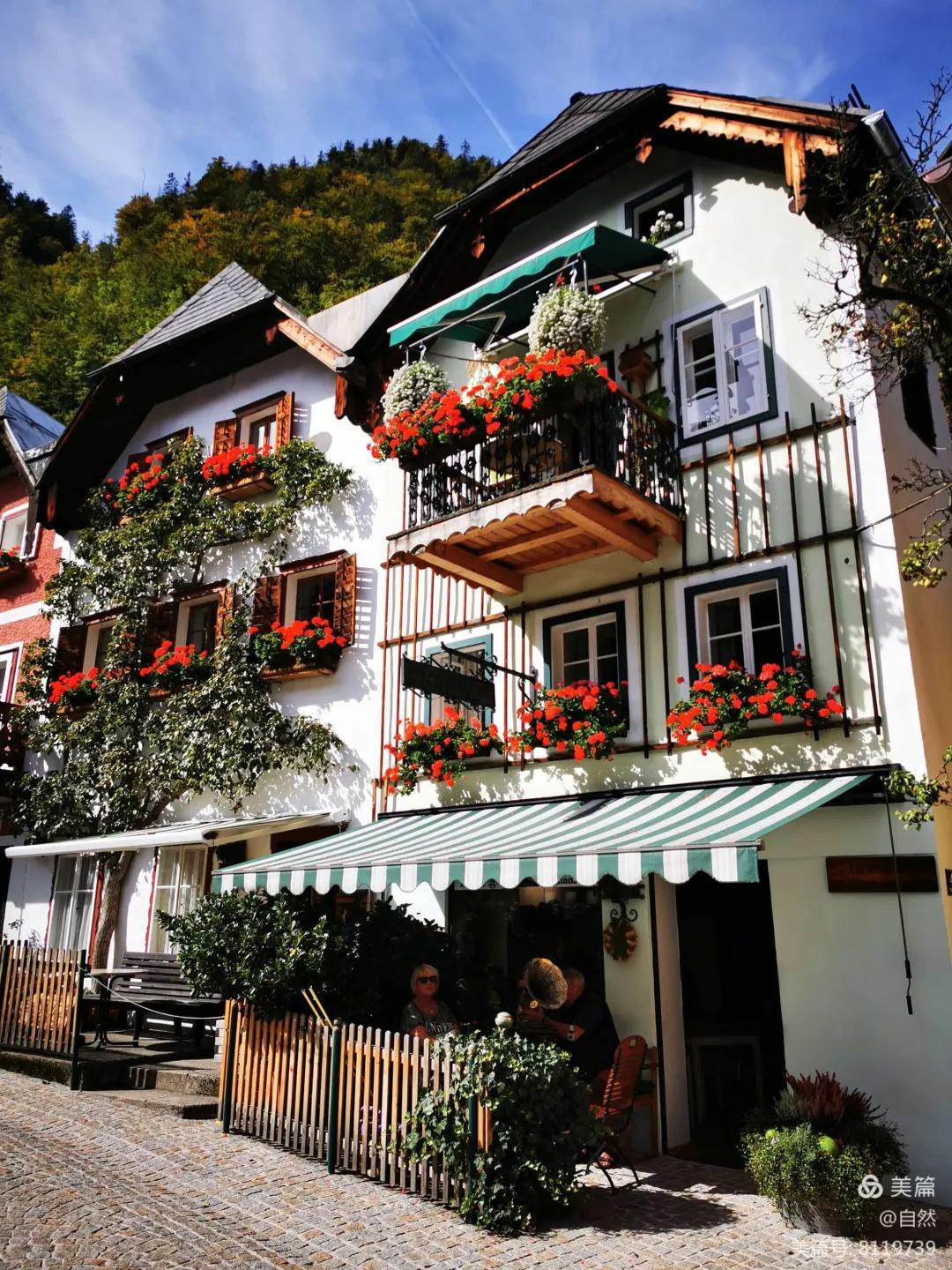 北方一年四季都开花的花园,东北花园四季开花植物