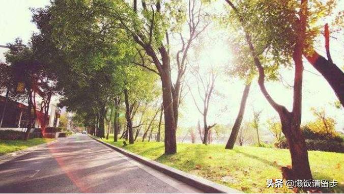 巢湖观景度假酒店,巢湖最适合度假的酒店