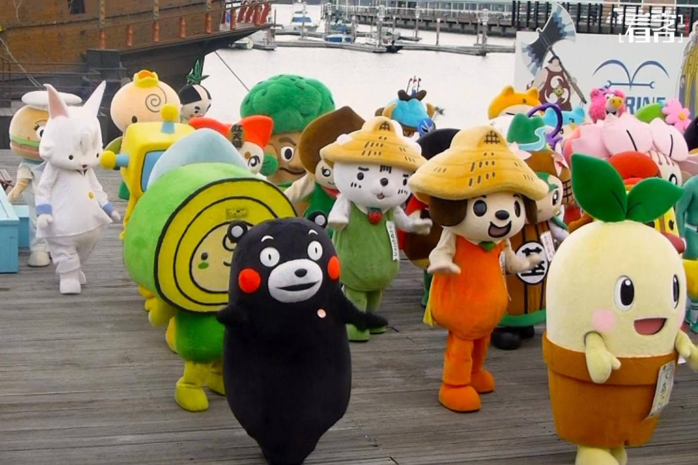 宠物小精灵皮卡丘排名,宠物小精灵里出现过的皮卡丘