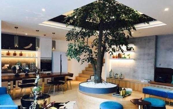 神话破灭最新价格,神话破灭的视频