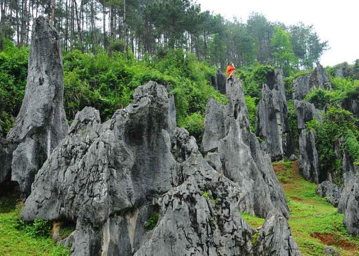 铜仁的一个县，拥有全省最大的天然石林景观，还有一棵楠木王