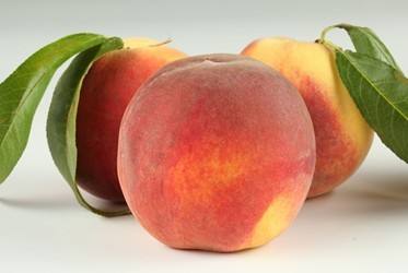 婴儿蛋白过敏妈妈可以吃哪些水果,季节性皮肤过敏不能吃什么水果