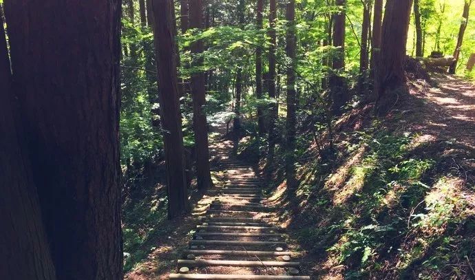 名古屋生活攻略,名古屋周边游线路攻略