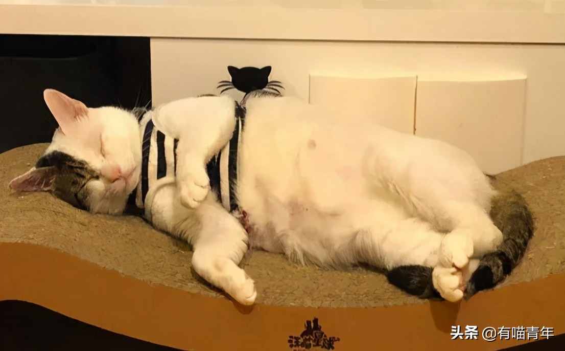 男子报警21岁喜当爹,男子喜当爹做了一件荒唐事