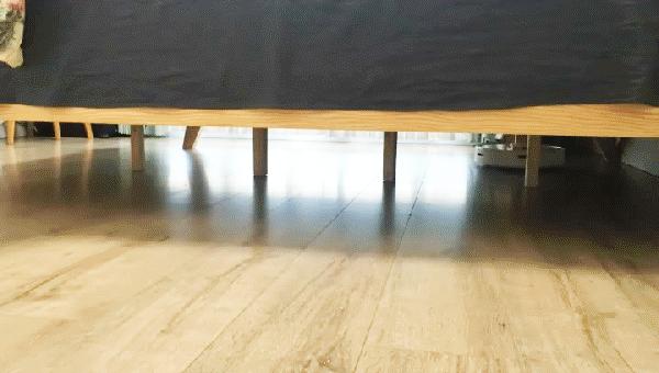 2000元以内性价比最高的扫地机,1000左右最值得入手的扫地机