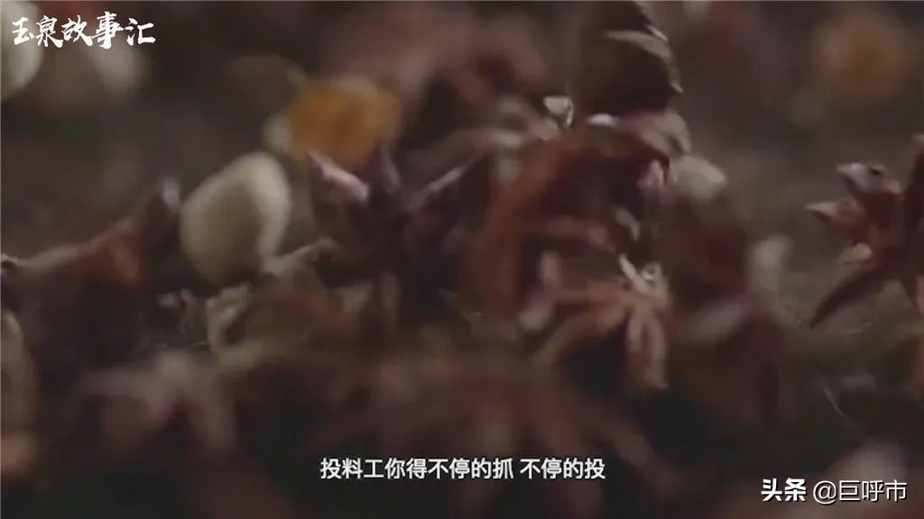 宸茬粡娌′汉骞茬殑琛屼笟,鏇剧粡宸ヤ綔涓嶅姫鍔涚幇鍦ㄥ姫鍔涙壘宸ヤ綔