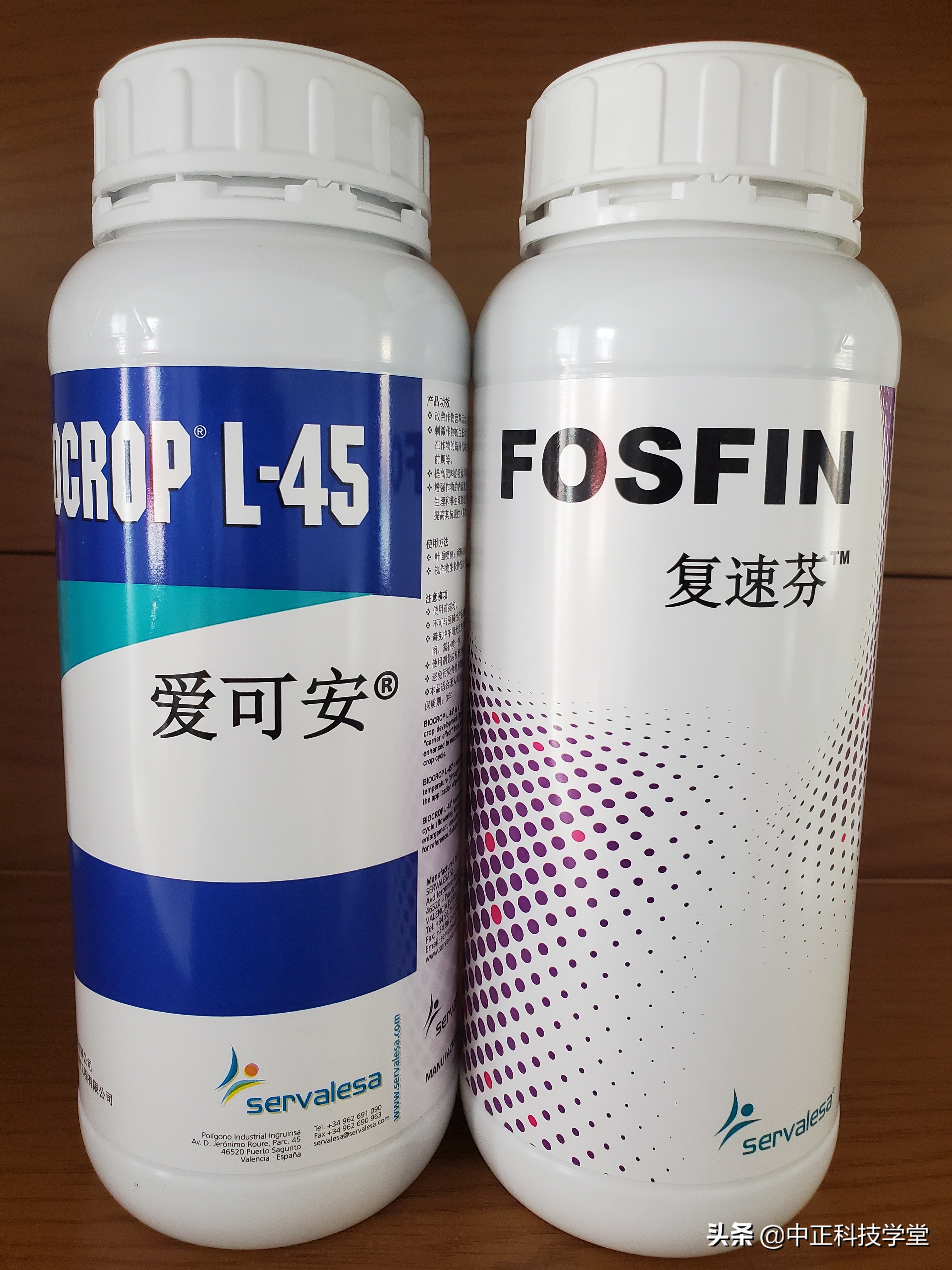 棉花黄萎病最有效的控制方法,棉花黄萎病怎样治