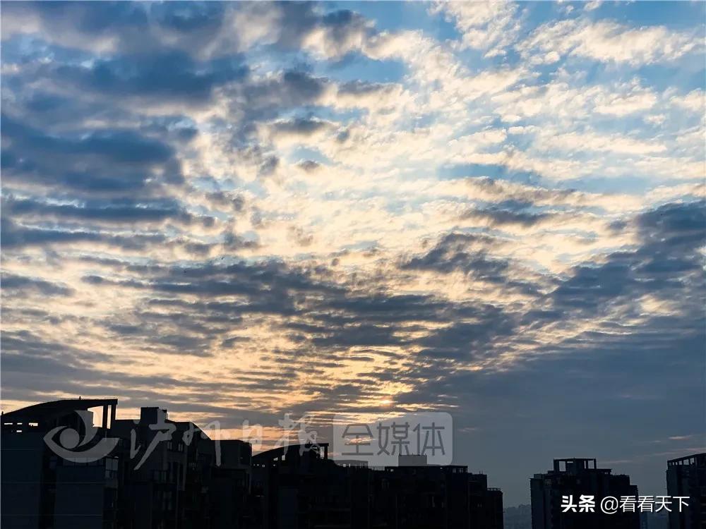 泸州四季花海开放了吗现在,泸州3月赏花胜地心花怒放在哪