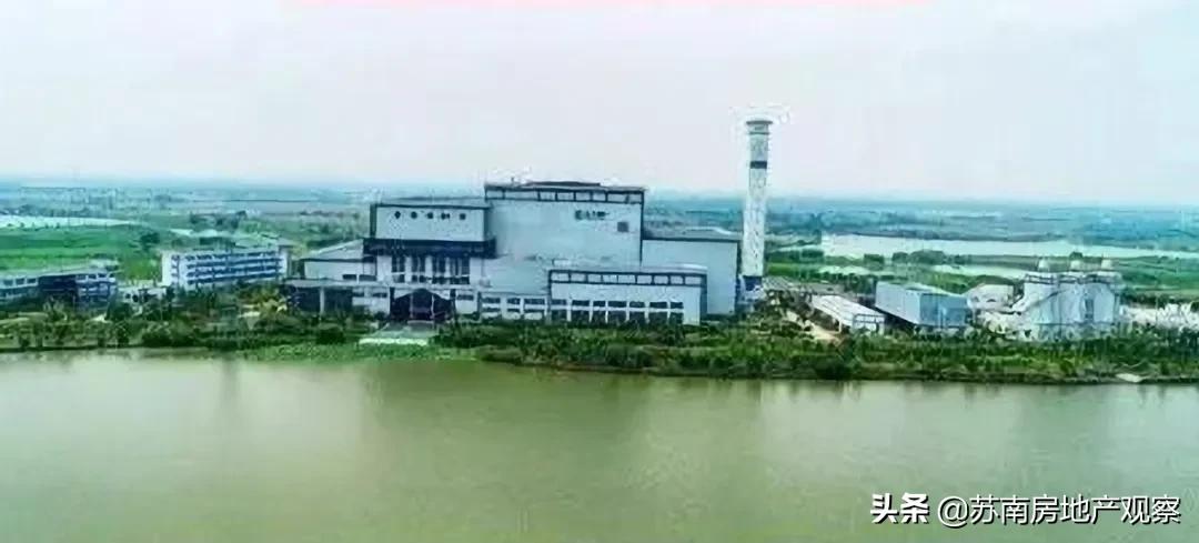 为什么我们都爱苏轼,为什么我们都爱梵高