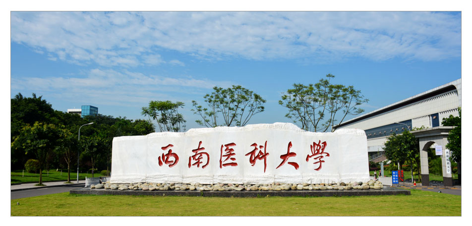 西南医科大学改名最成功,西南医科大学更名之路张雪峰