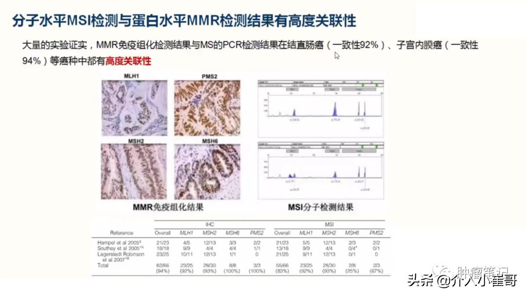 错配修复基因mmr是什么意思,MMR错配修复蛋白正常是好还是不好