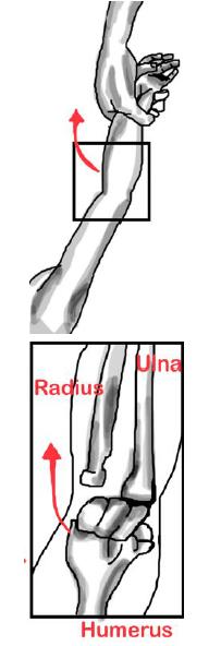 小孩手被提拉后动不了，怎么去预防呢？听医生说