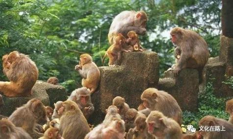 鐚村瓙閱夐厭鎵撲汉,娓稿鎵撳敞鐪夊北鐚村瓙瑙f皵鐬棿