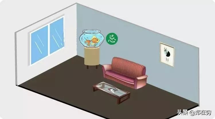 鱼缸摆放位置风水吉位图片,鱼缸怎么摆放布局风水好