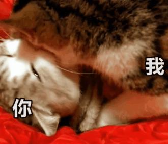 春日对对碰魅力香水,春日气息香水推荐