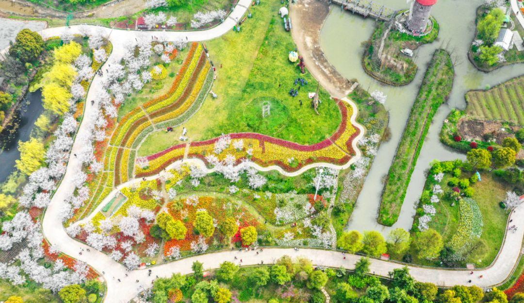 致敬最美逆行者活动效果,致敬各类最美逆行者