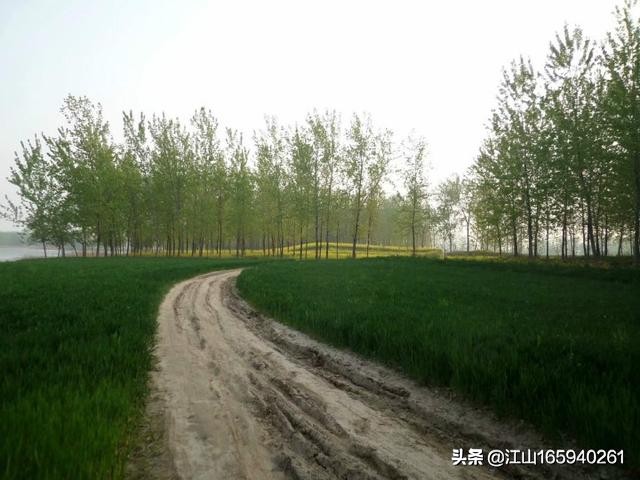 天然大钓场,天然氧吧钓场