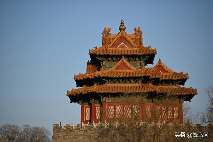 z卡口70-200f2.8尼康评测,尼康70200电磁炮镜头深度评测