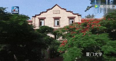 厦门最值得去的几个地方,厦门值得去的三个地方